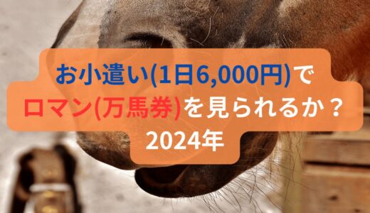 お小遣い(1日6,000円)でロマン(万馬券)を見られるか？－2024年