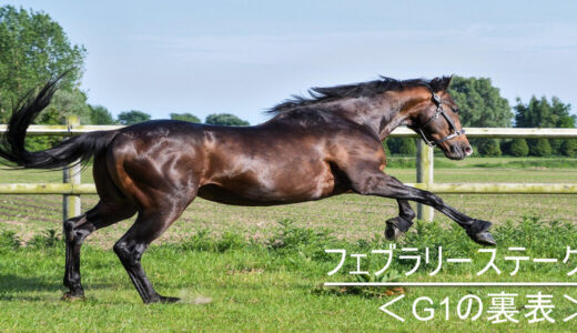 フェブラリーステークス＜G1の裏表＞