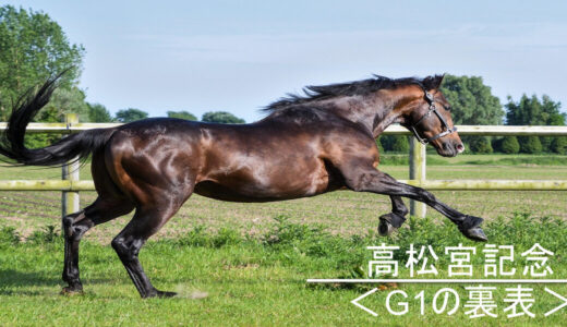高松宮記念＜G1の裏表＞