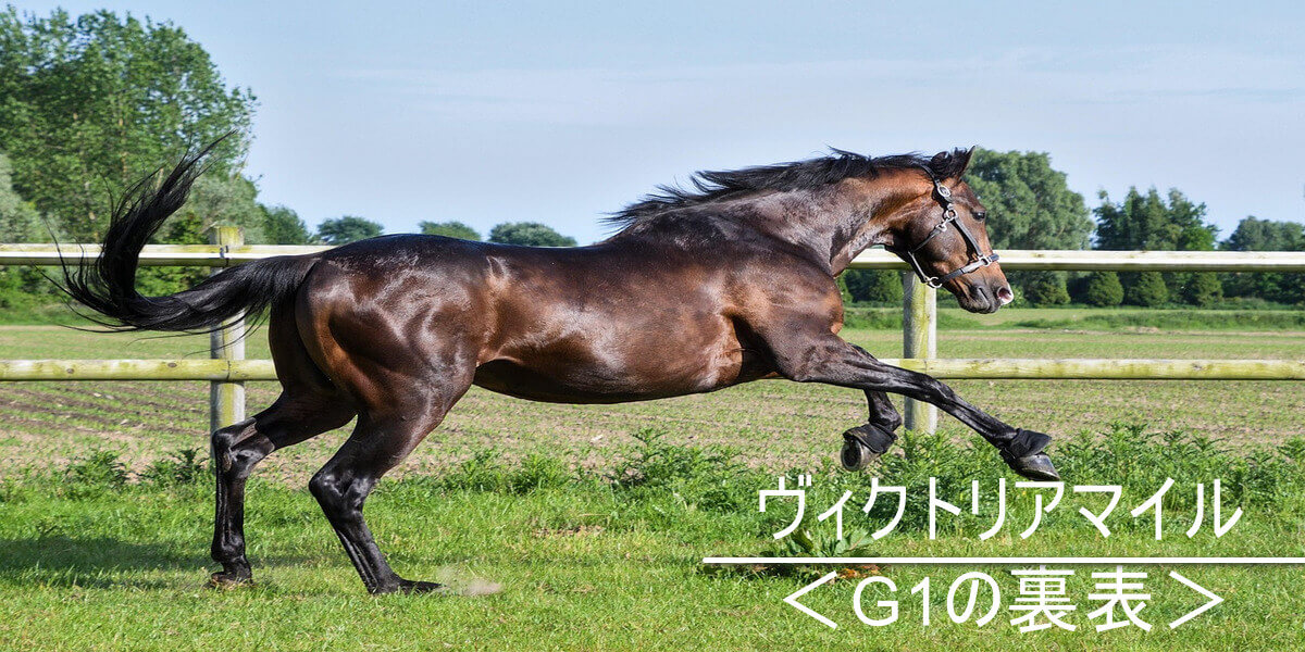 ヴィクトリアマイル＜G1レースの裏表＞ | 異常オッズのシンドローム