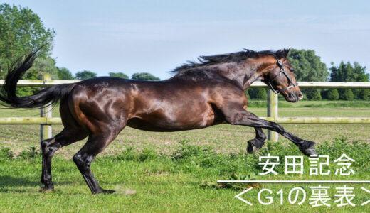 安田記念＜G1の裏表＞